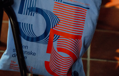 Utrinki s predstavitve raziskave Dramatika manjših evropskih jezikov v mednarodnem prostoru: zgodbe o uspehu <em>Foto: Maša Pirc</em>