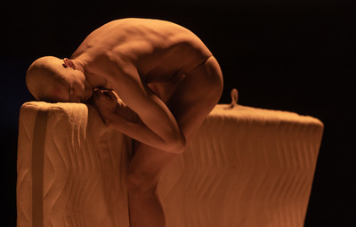 Agmisterij (tretjič) <em>Foto: Željko Stevanić IFP/Arhiv CTF UL AGRFT </em>